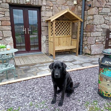 Conwy Pen Cefn Farm Holiday Abergele Eksteriør bilde