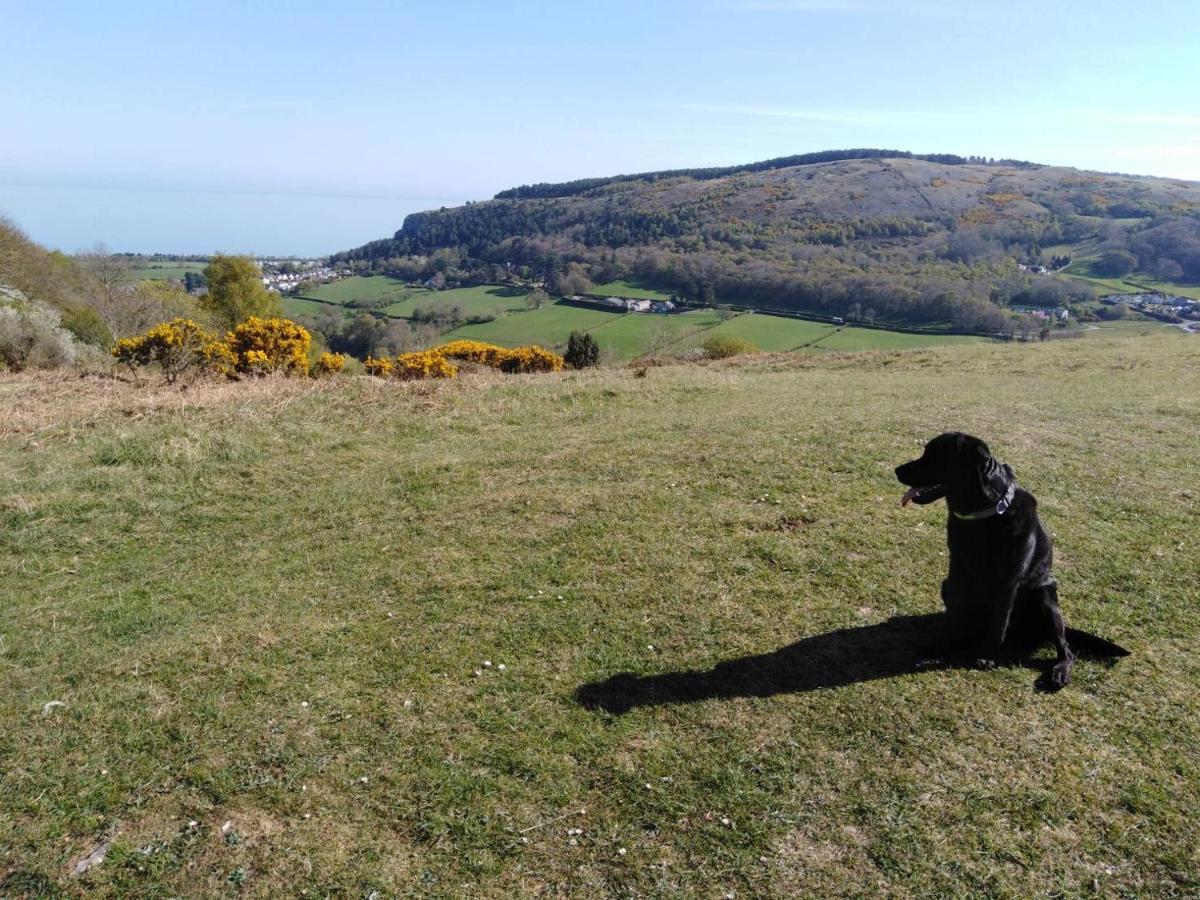 Conwy Pen Cefn Farm Holiday Abergele Eksteriør bilde